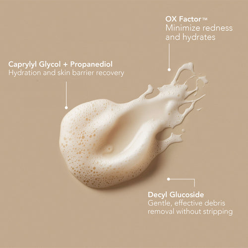 DETOX Purifying Cleanser