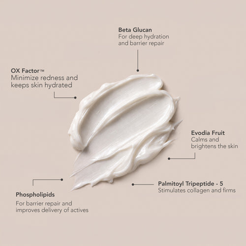 INTOXICATE Renewal Serum